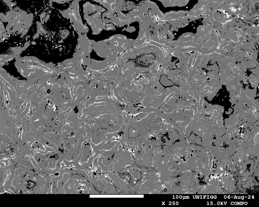 Dendriti UniMORE